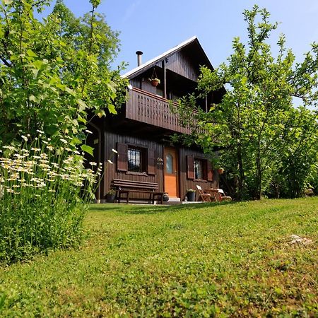 Pocitniska Hisa Eros Villa Бохин Екстериор снимка